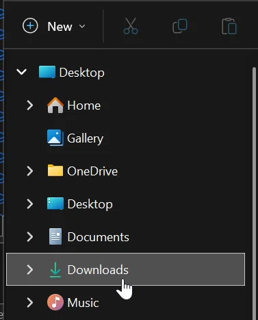 The Downloads folder in the Explorer sidebar